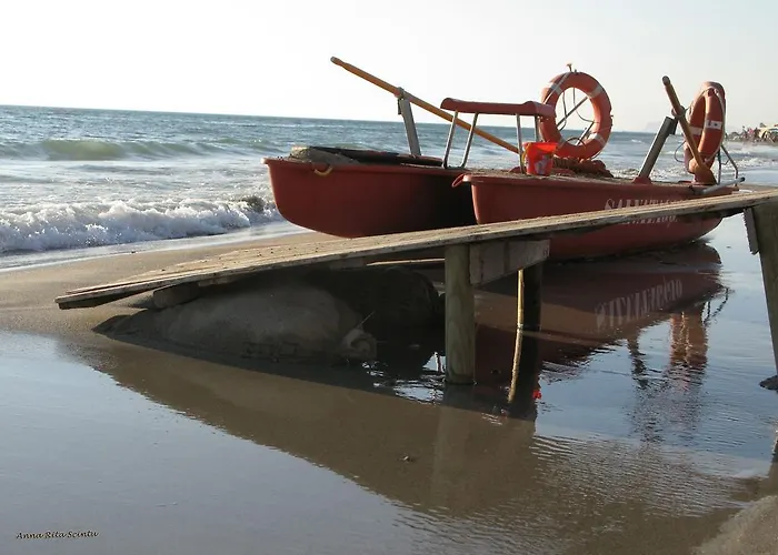 Papparina House Apartman *